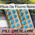 Black Ant Pill new08